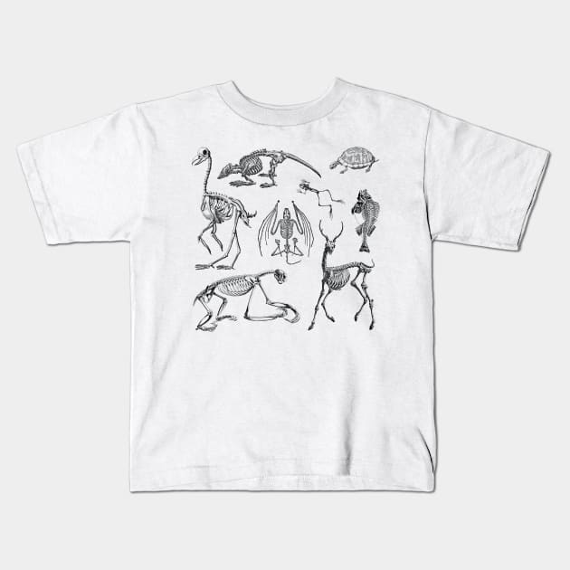 Nature of Decay Kids T-Shirt by Patrick McKiernan Design